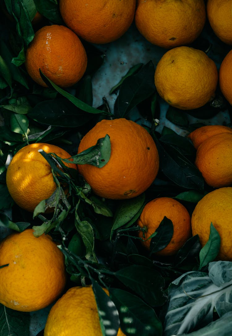 Close-Up Shot Of Fresh Oranges