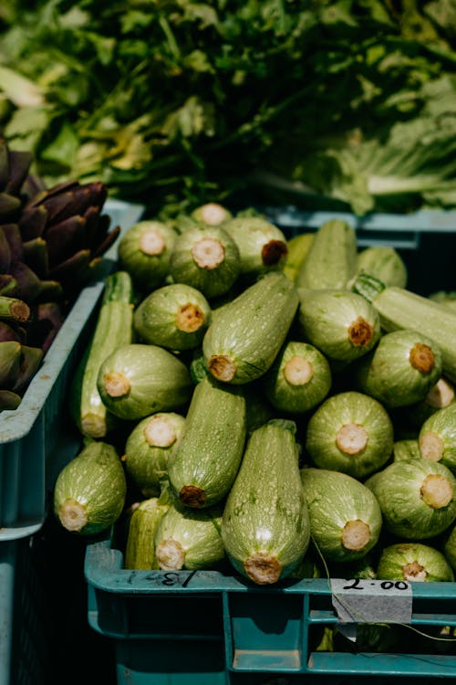 健康食品, 垂直拍摄, 夏南瓜 的 免费素材图片