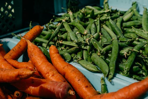 Carrots and Snap Peas on Crates