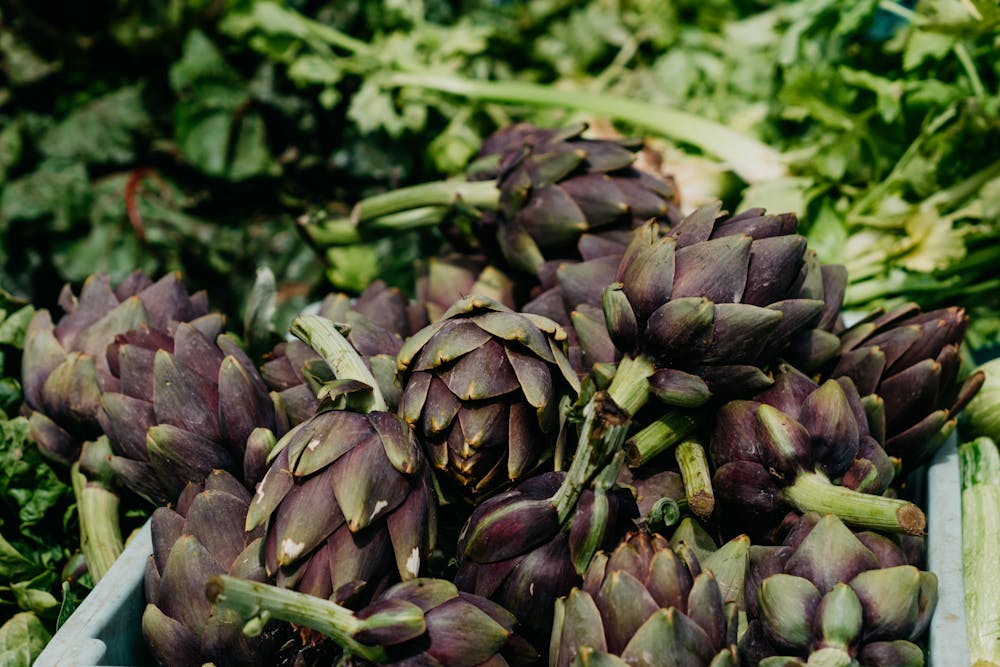 Jerusalem Artichoke Salad