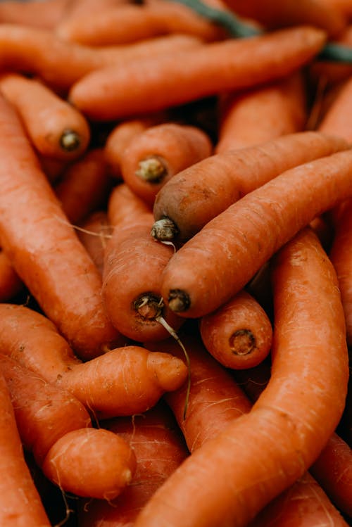 Free Close-Up Shot of Carrots Stock Photo