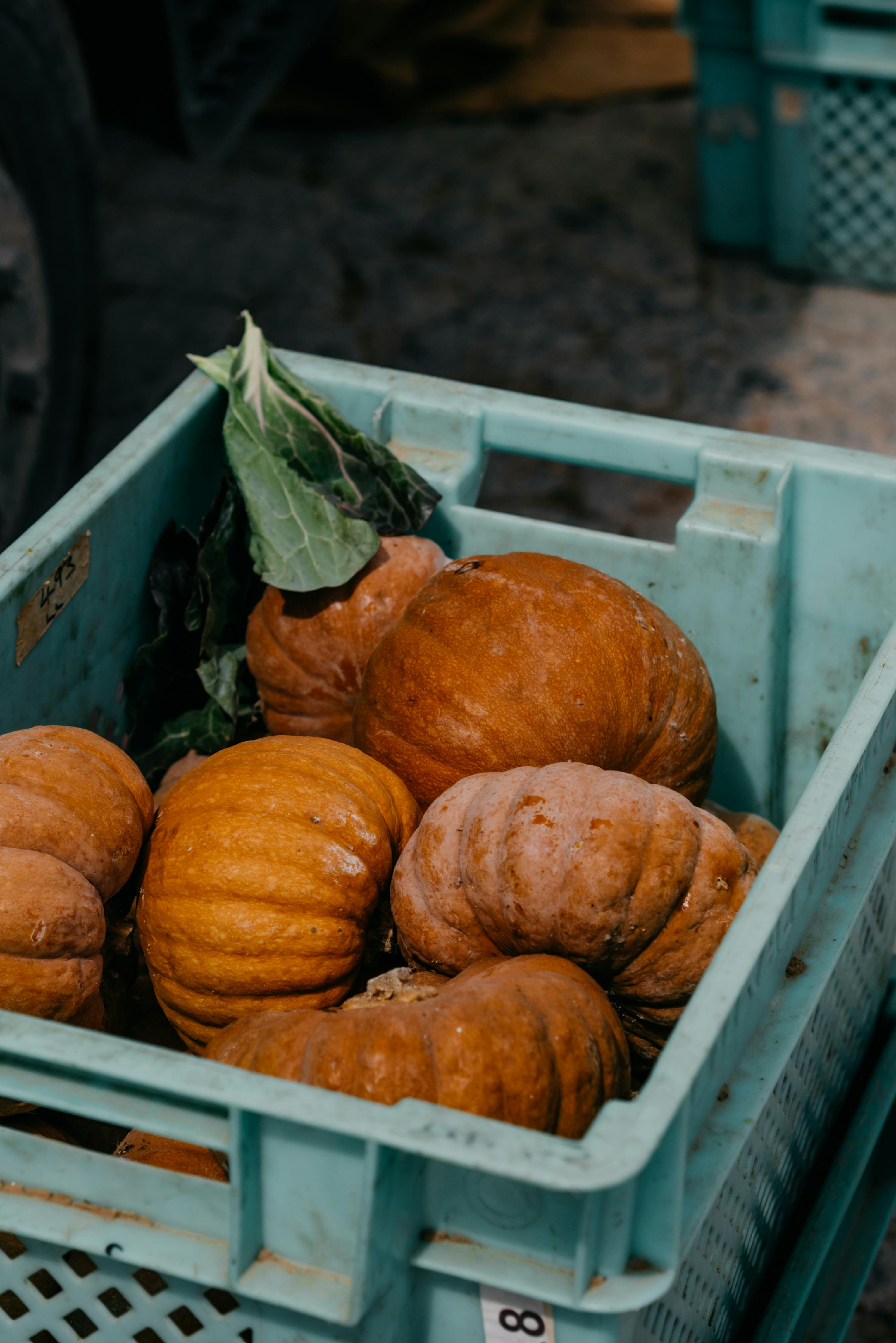 orange pumpkins on green plastic crate
