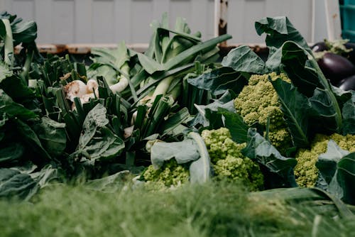 Immagine gratuita di abbondanza, broccoli, cavoli