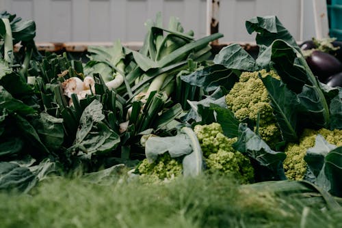 Fresh Broccolis and Green Leafy Vegetables on the Table