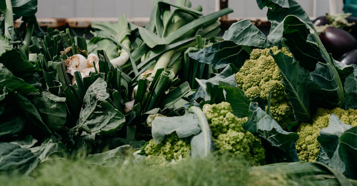 A variety of fresh organic vegetables including cabbages and broccoli at a farmers market.