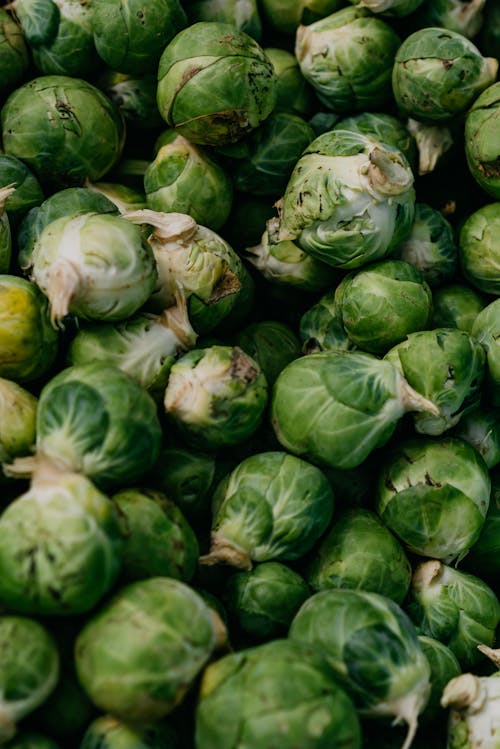 Photo of Fresh Green Cabbages 