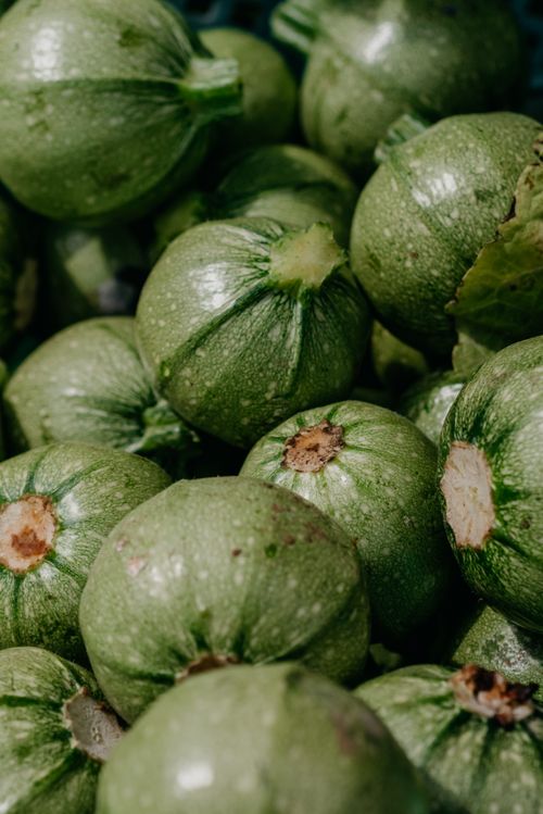Free Close-up of green round zucchinis at a market, showcasing their fresh texture and vibrant color. Stock Photo