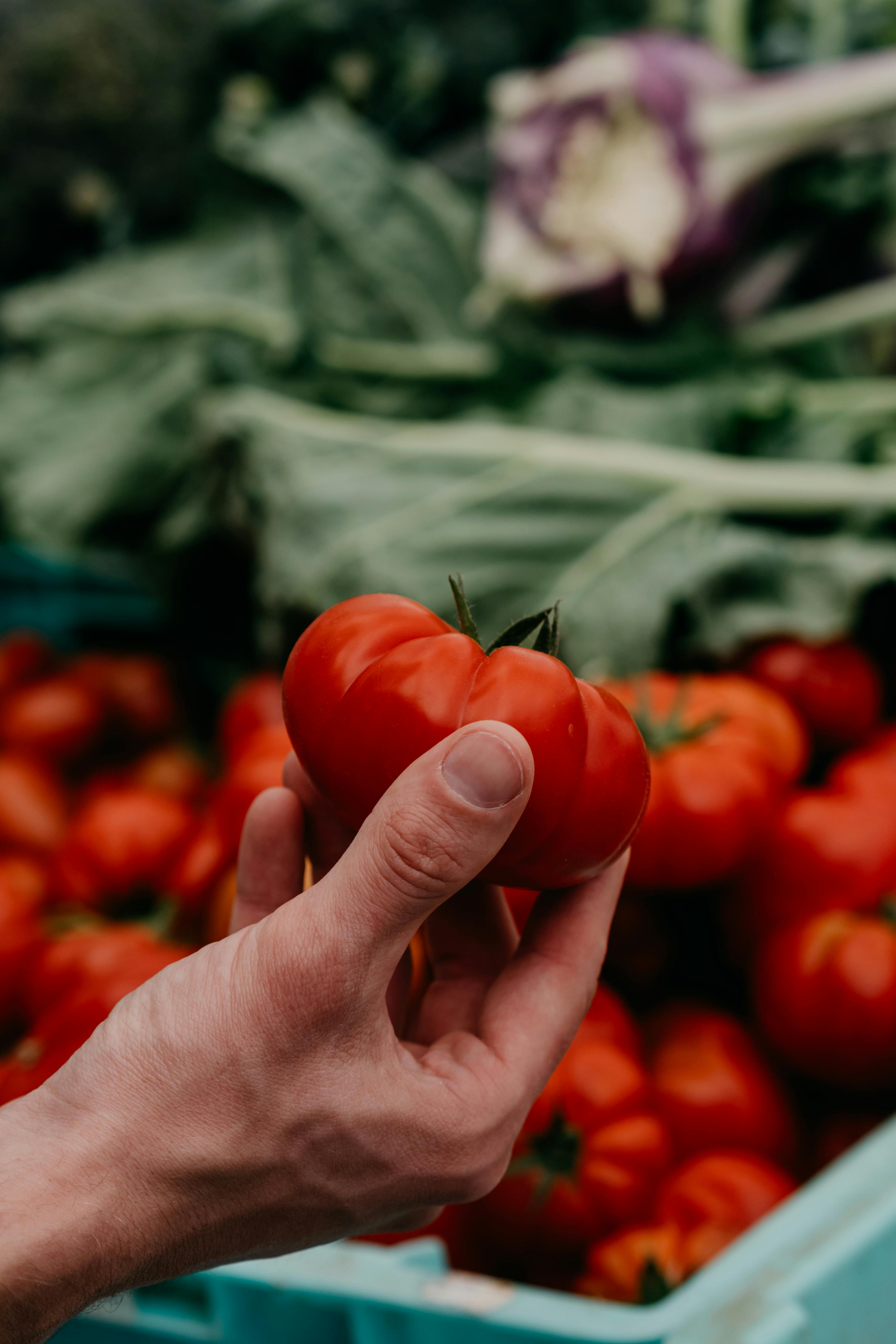 Ingyenes stockfotó aratás, bevásárlás, bőséges témában Stockfotó