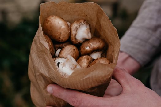 Image by Polina ⠀