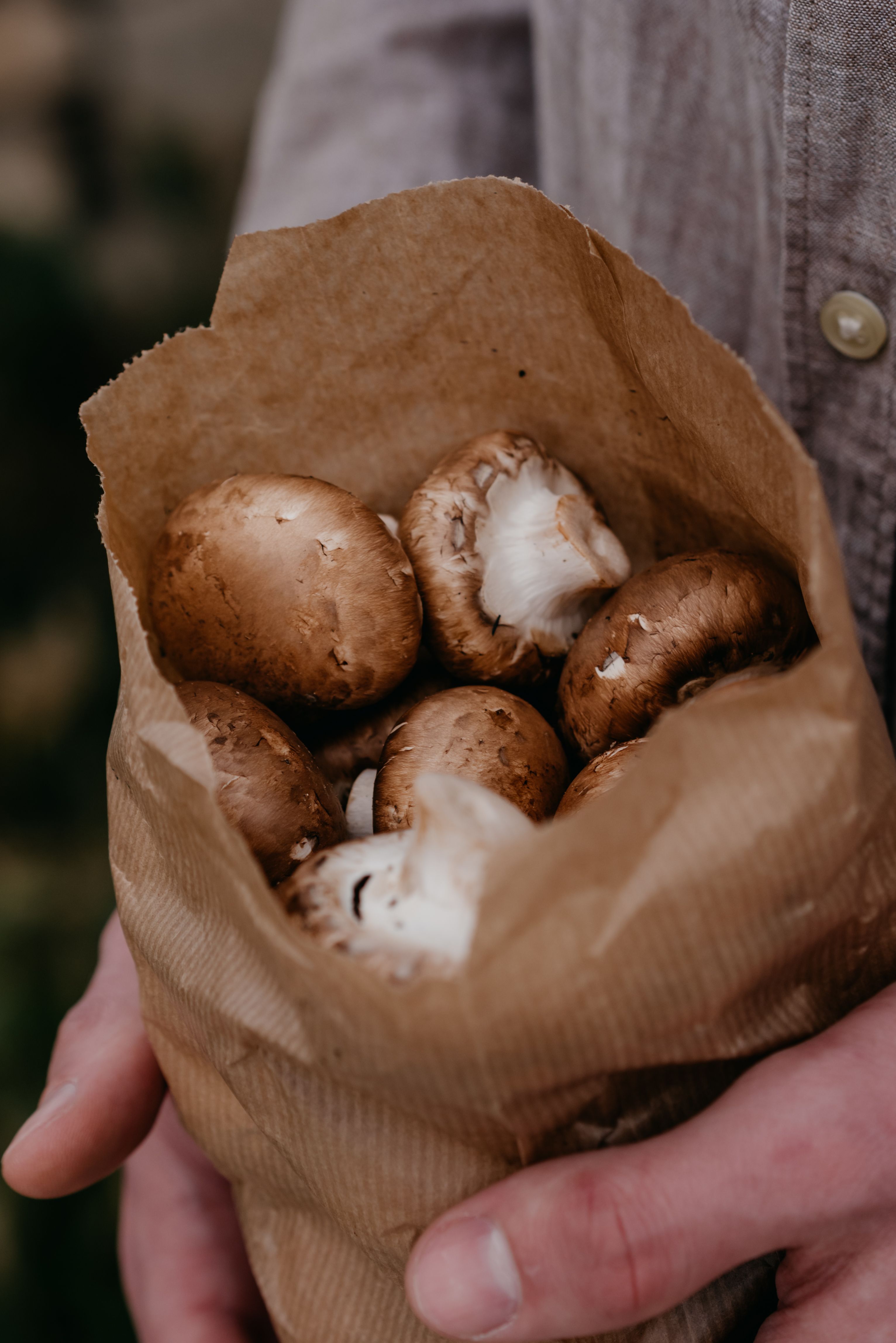 Close-up of fresh brown mushrooms held in a brown paper bag. Ideal for food and organic themes.