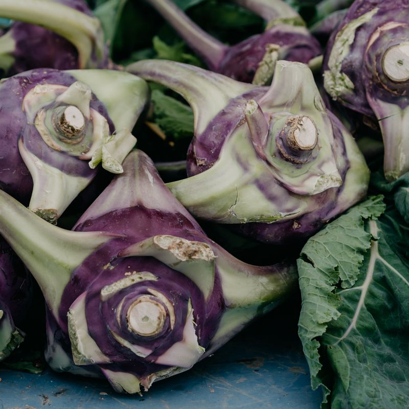 Shredded Kohlrabi Slaw with Tarragon