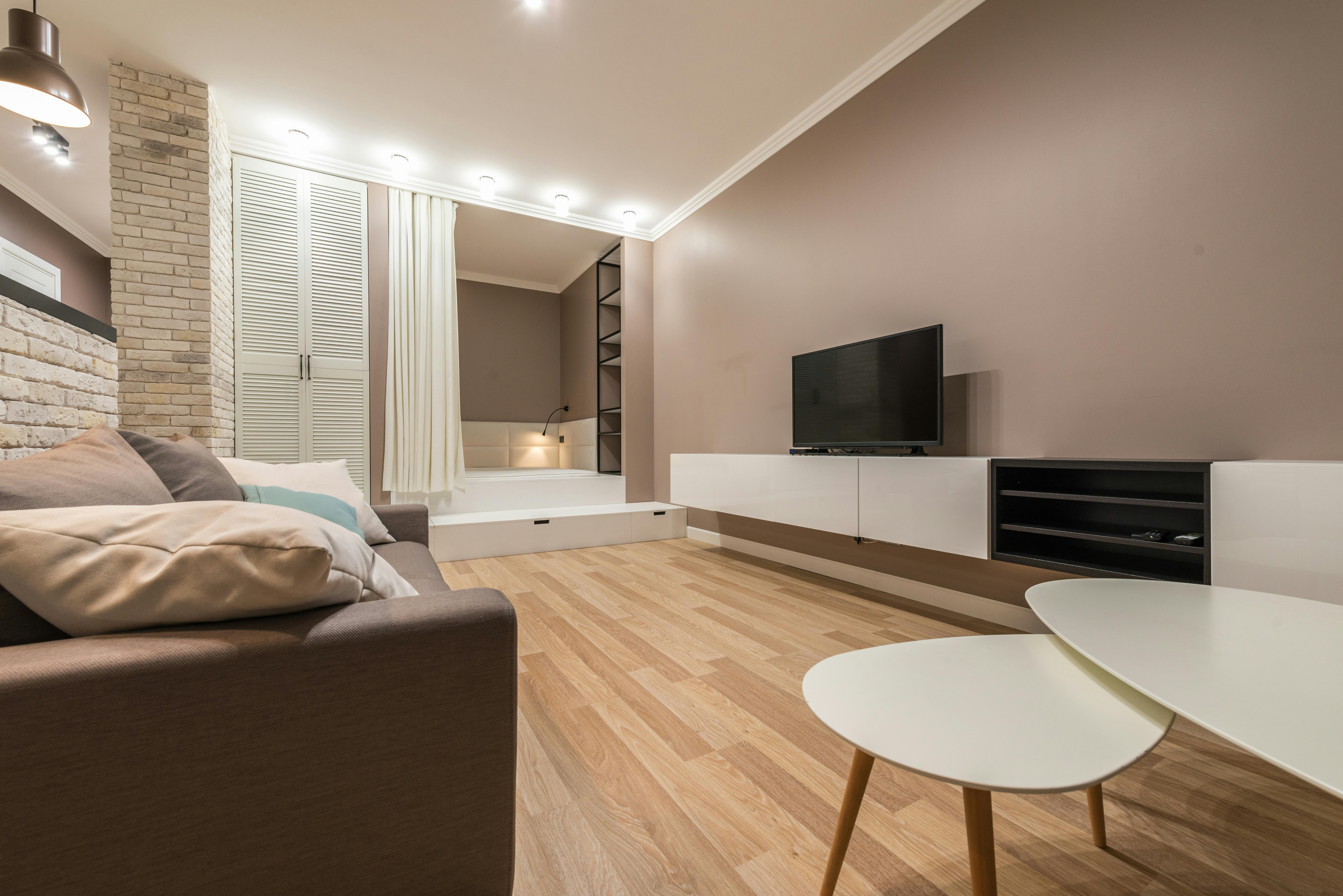 stylish living room with tv and bath