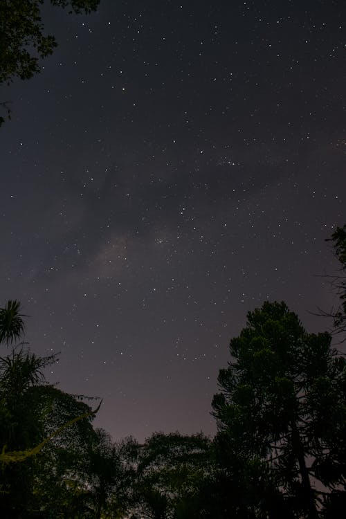 スペース, 夜, 夜空の無料の写真素材