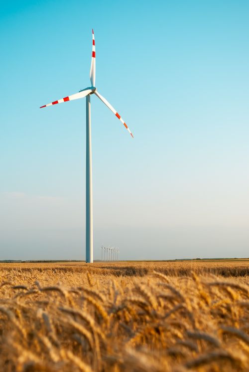 Free Austrian wind turbine in a wheat field under blue sky captures sustainable energy essence. Stock Photo