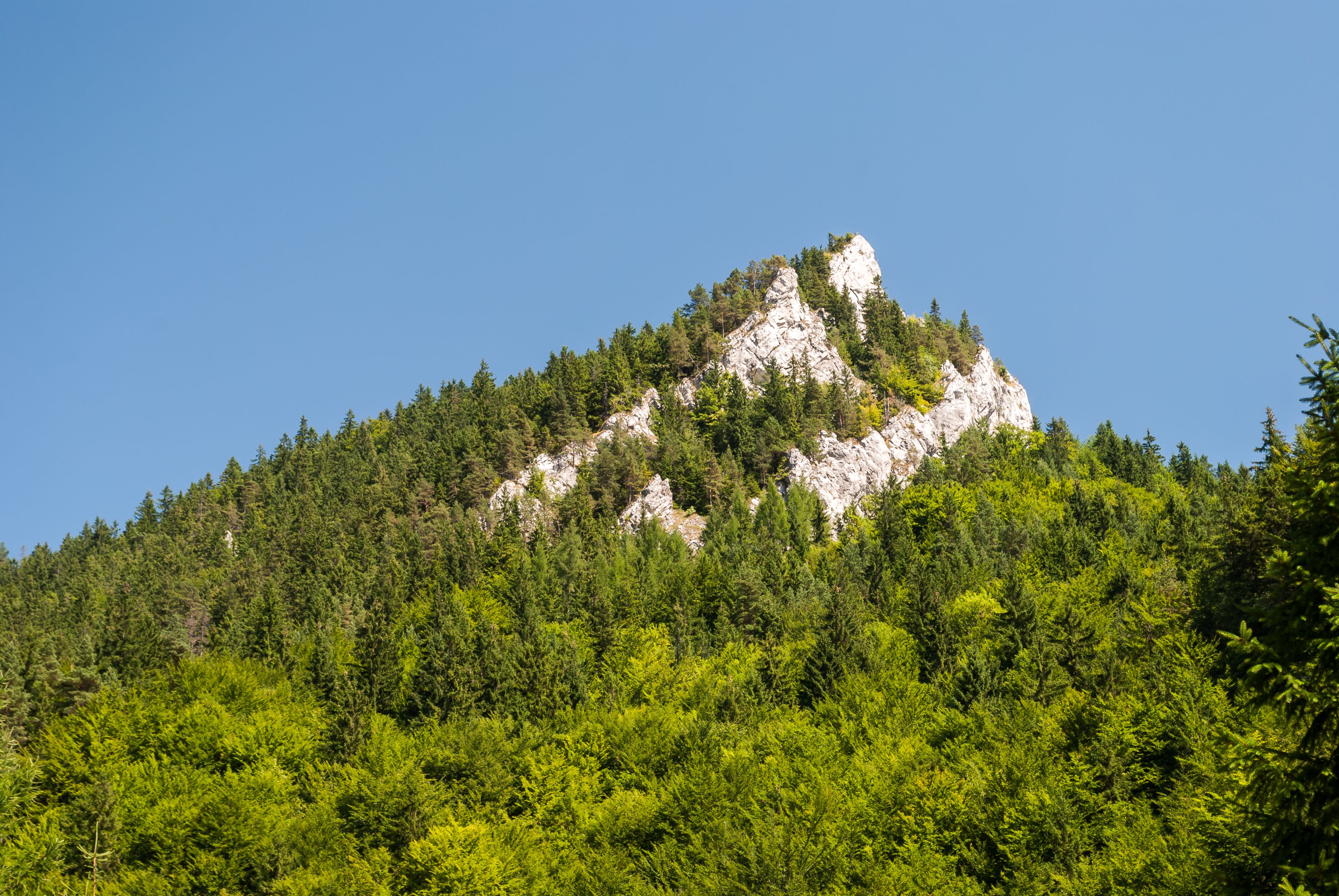 Green Trees on Mountain under the Blue Sky · Free Stock Photo