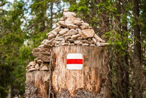 A Pile of Rocks on a Tree Stump