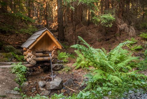 Free A serene forest stream with a rustic wooden shelter surrounded by lush ferns and trees. Stock Photo