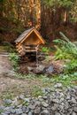 Brown Wooden House Near Tree