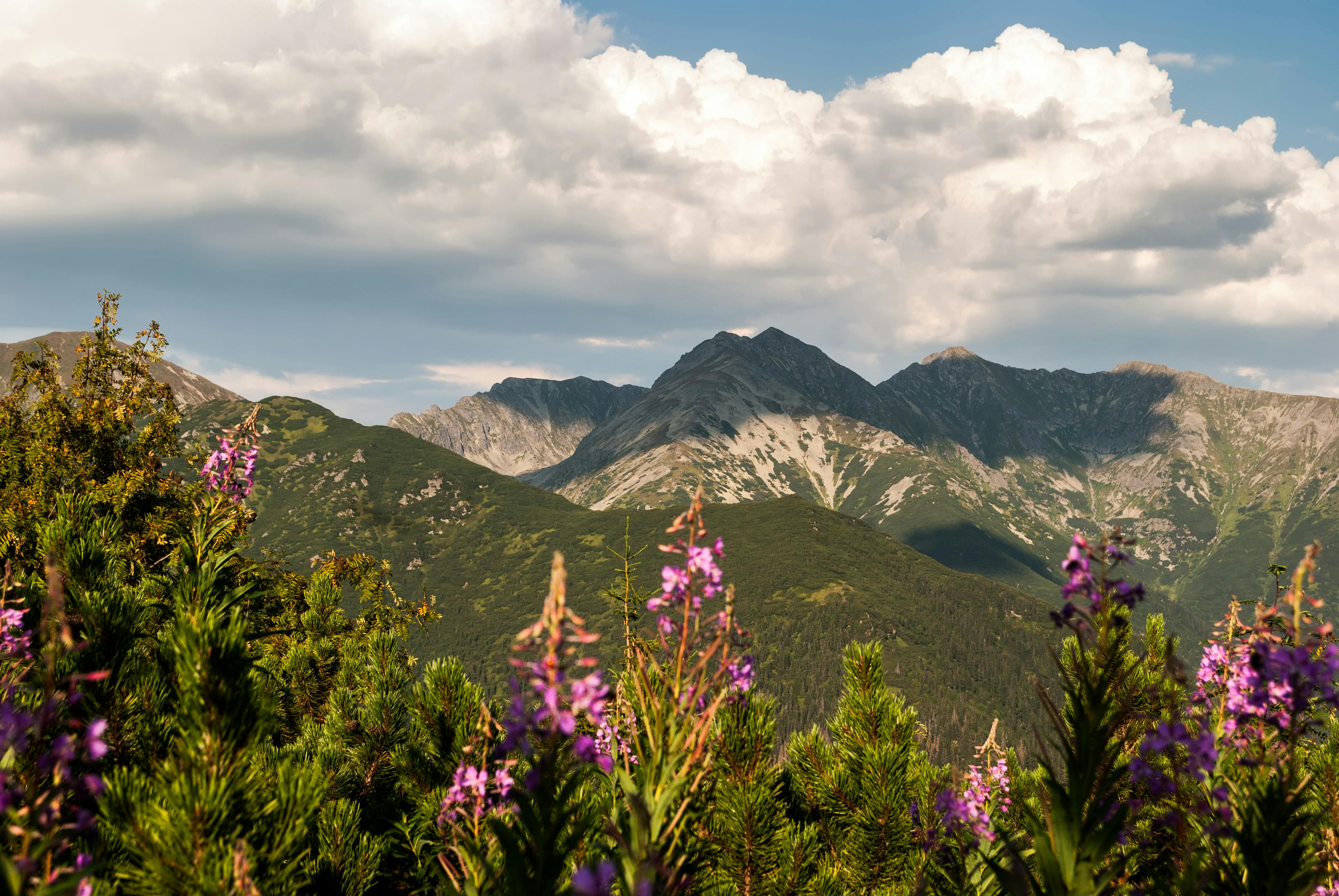 4K PC WALLPAPER  PURPLE MOUNTAINS