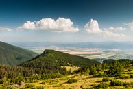 Green Trees on Mountain Under Blue Sky