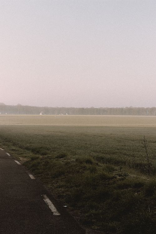 Free Scenic view of empty asphalt roadway with marking lines against meadow and trees in daytime Stock Photo