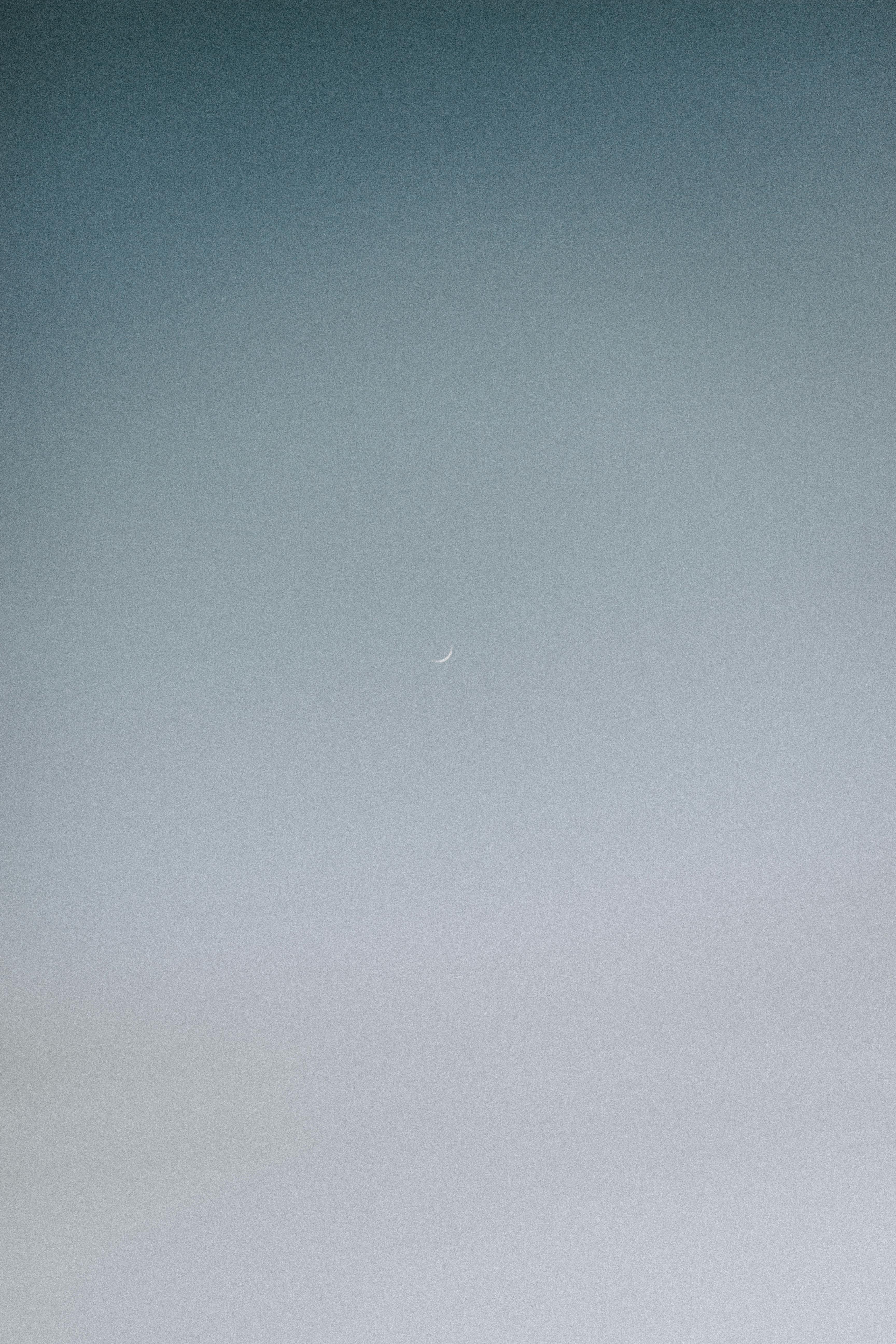 10,000+ Best Small Size Photos · 100 Free Download · Pexels Stock Photos