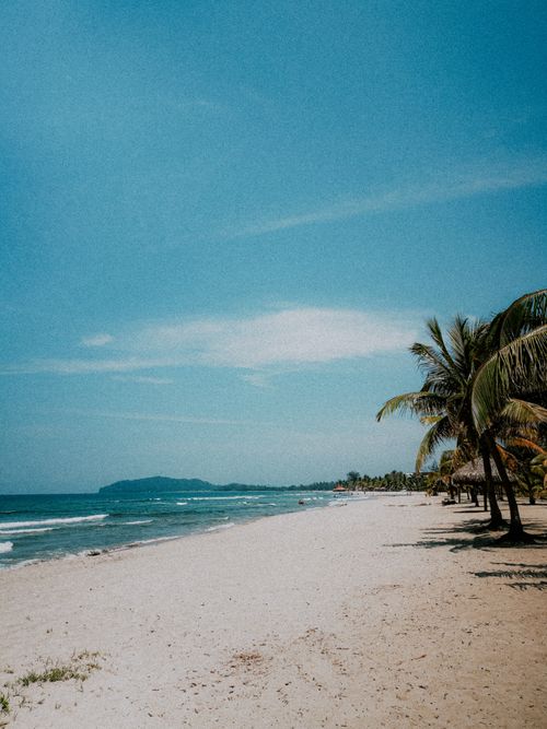 Free Serene tropical beach with palm trees and azure sky, ideal for summer travel. Stock Photo
