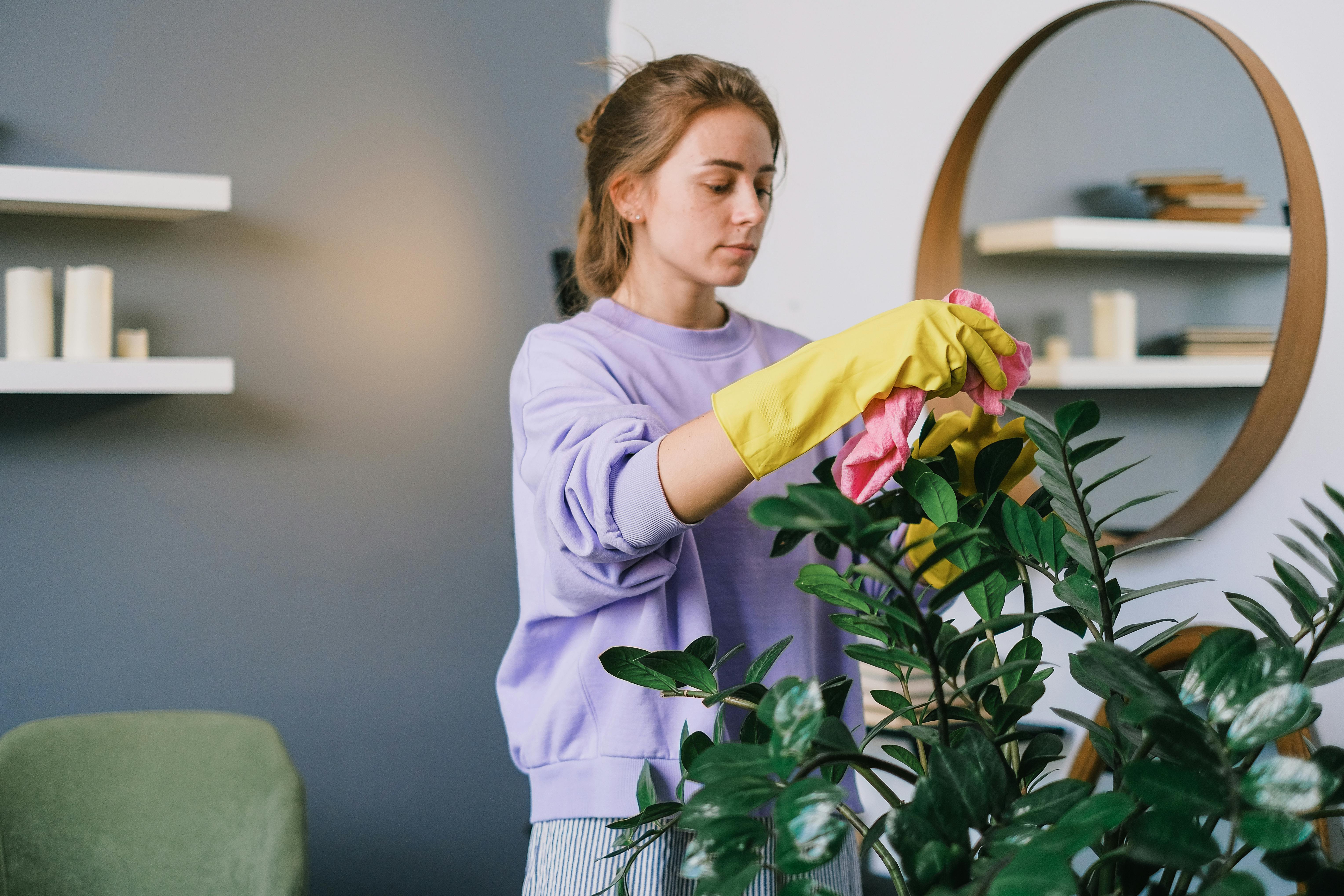 Your Complete Home Cleaning Schedule: What to Clean Weekly, Monthly, and Seasonally — Photo by SHVETS production on Pexels