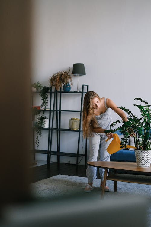 apartman, ayakta durmak, bahçıvan kovası içeren Ücretsiz stok fotoğraf