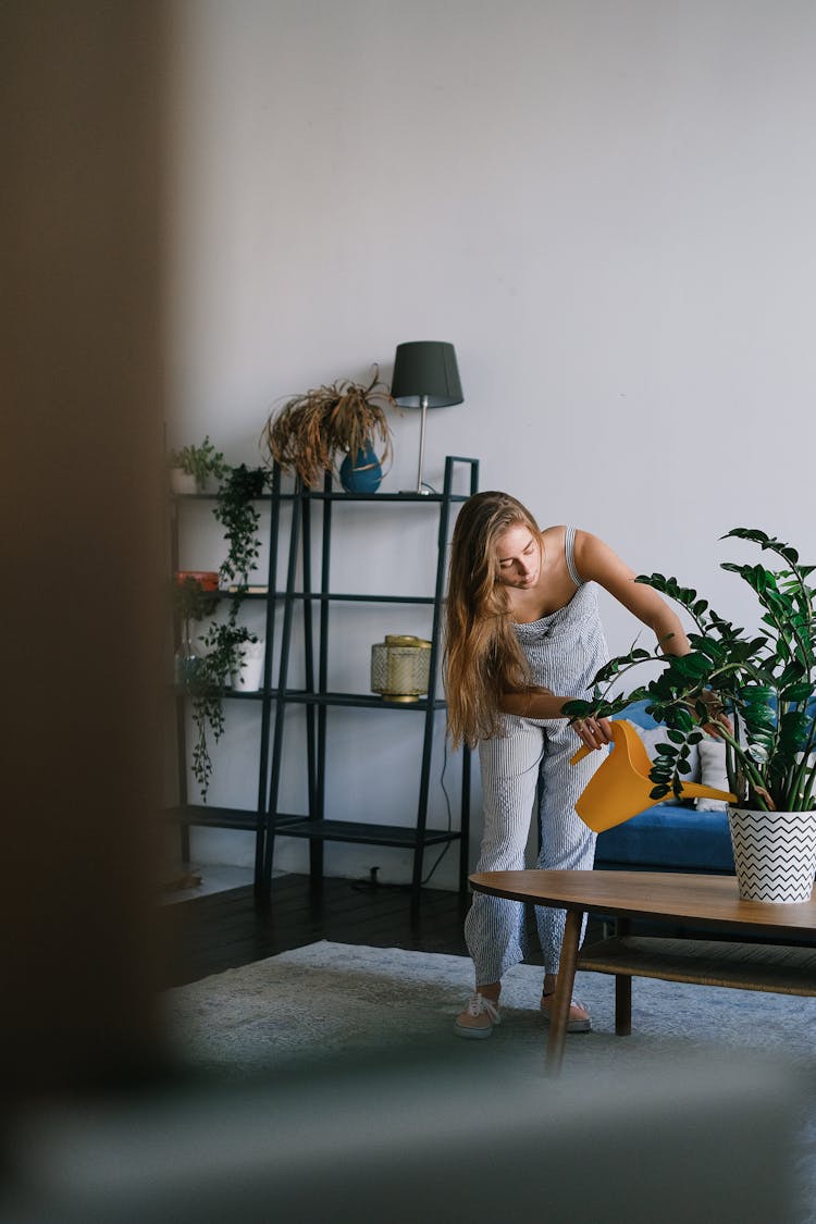 Woman Watering Potted Plant In Room