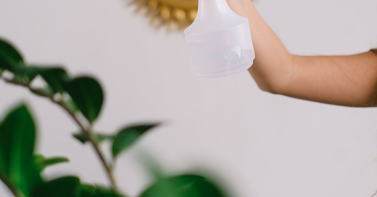 How to remove a dishwasher spray arm