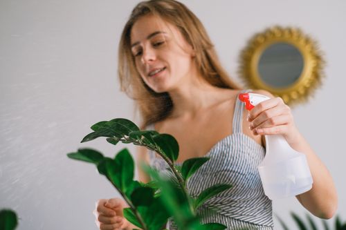 Free Blurred blond female spraying water from bottle on green plant leaves against white background Stock Photo