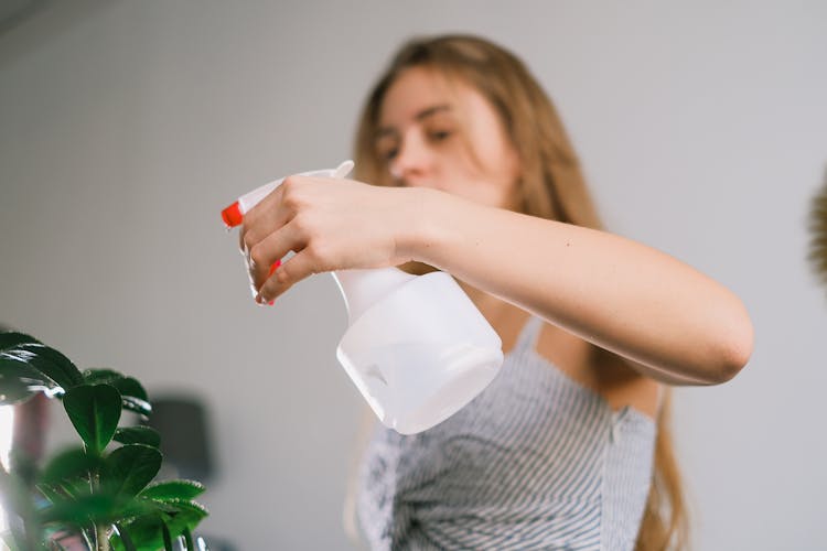 Female Using Spray Bottle For Plant