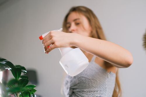 Free Long haired lady using white spray bottle for green plant in selected focus Stock Photo