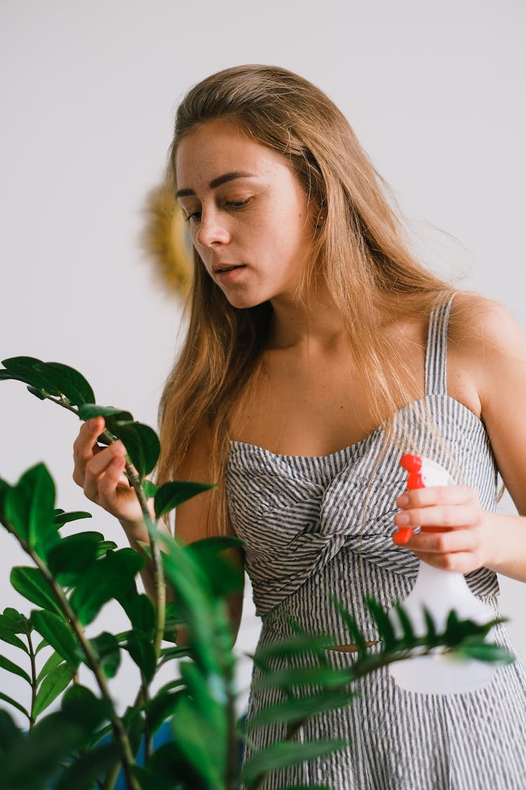 Female With Spray Bottle Touching Green Leaf Of Plant