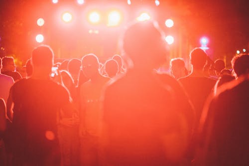 Crowd at a Concert 