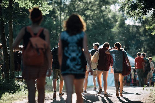 People Walking on a Pathway