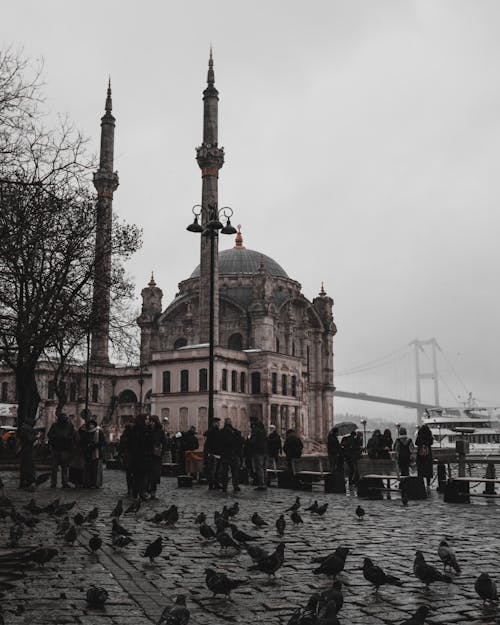 Free People at the Port Near the Yeni Valide Mosque Stock Photo