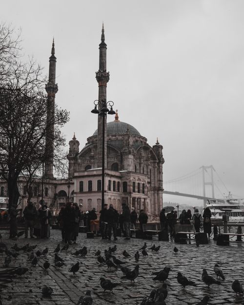 Free A scenic view of Ortaköy Mosque with people and pigeons in Istanbul, overlooking the Bosphorus Bridge. Stock Photo