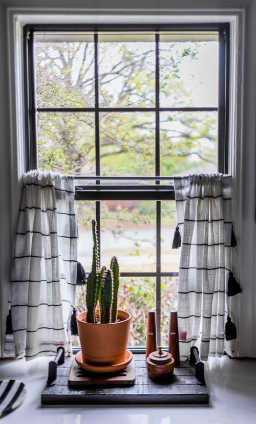 Free Curtains on window against succulent plant in pot near salt and pepper shakers in house Stock Photo
