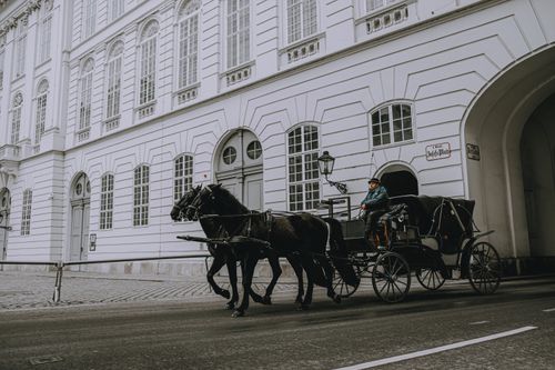 Free A classic scene of a horse-drawn carriage passing by a historic building on a city street. Stock Photo