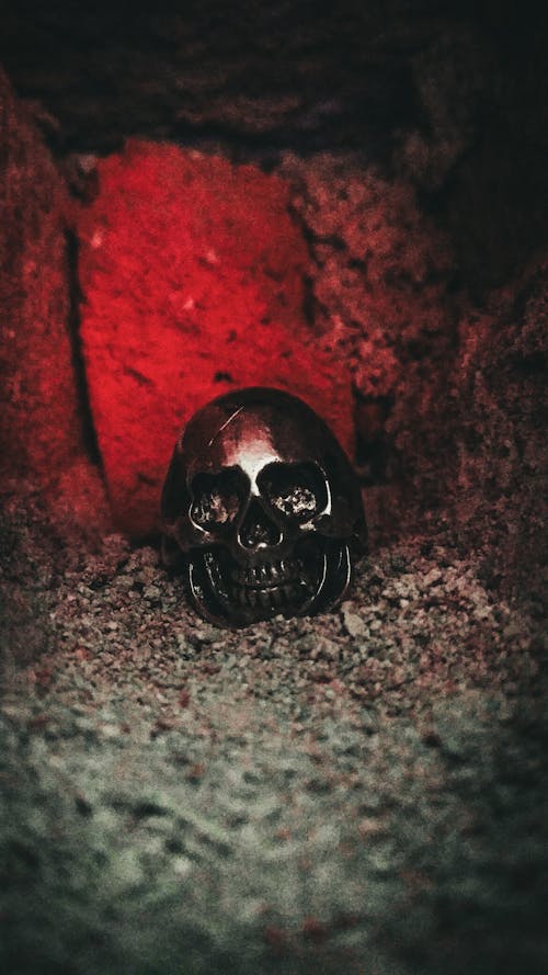 Free Halloween Black Scull in a Cave Stock Photo