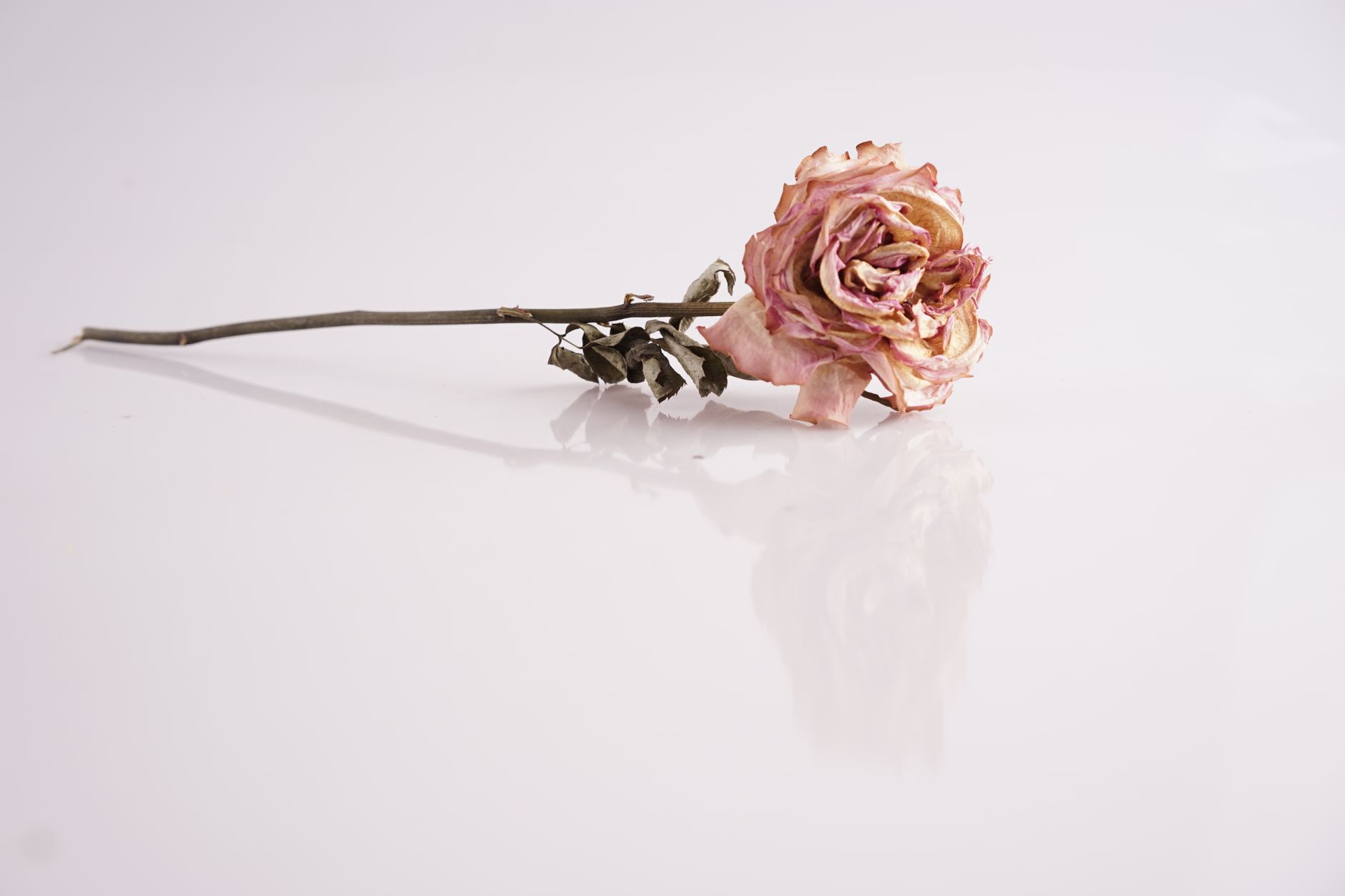 The Essentials to How to romanticize your life