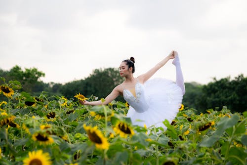 Professional ballet dancer with raised leg balancing in field with sunflowers in farmland