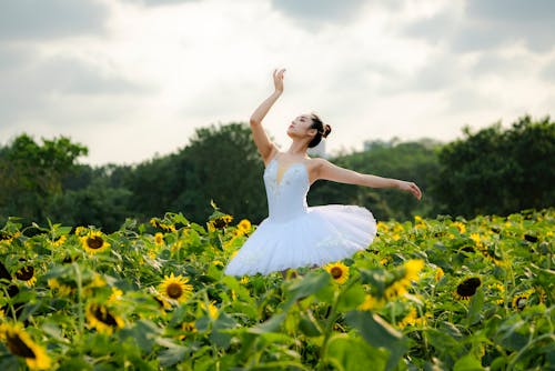 Ethnic female ballet dancer with outstretched arms dancing in field with blossoming sunflowers growing in countryside