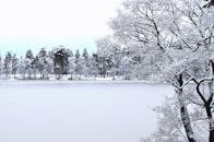 冬日里，晴朗的天空下，冰冻的湖边树木被白雪覆盖，一片宁静的景象