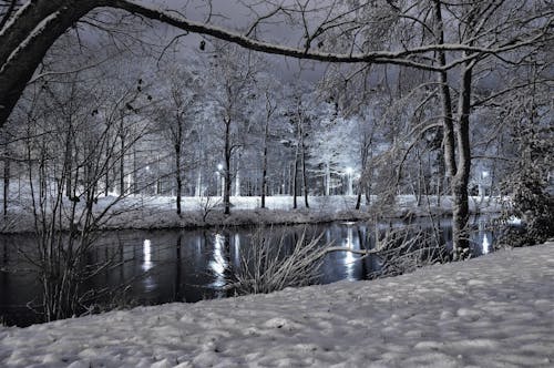 apladalen, 下雪, 光 的 免费素材图片