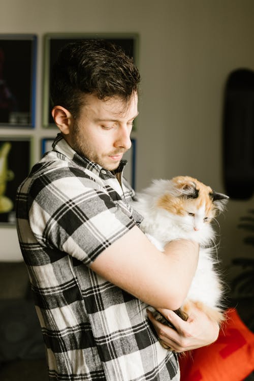 Free Man in Black and White Plaid Shirt Carrying White and Brown Cat Stock Photo