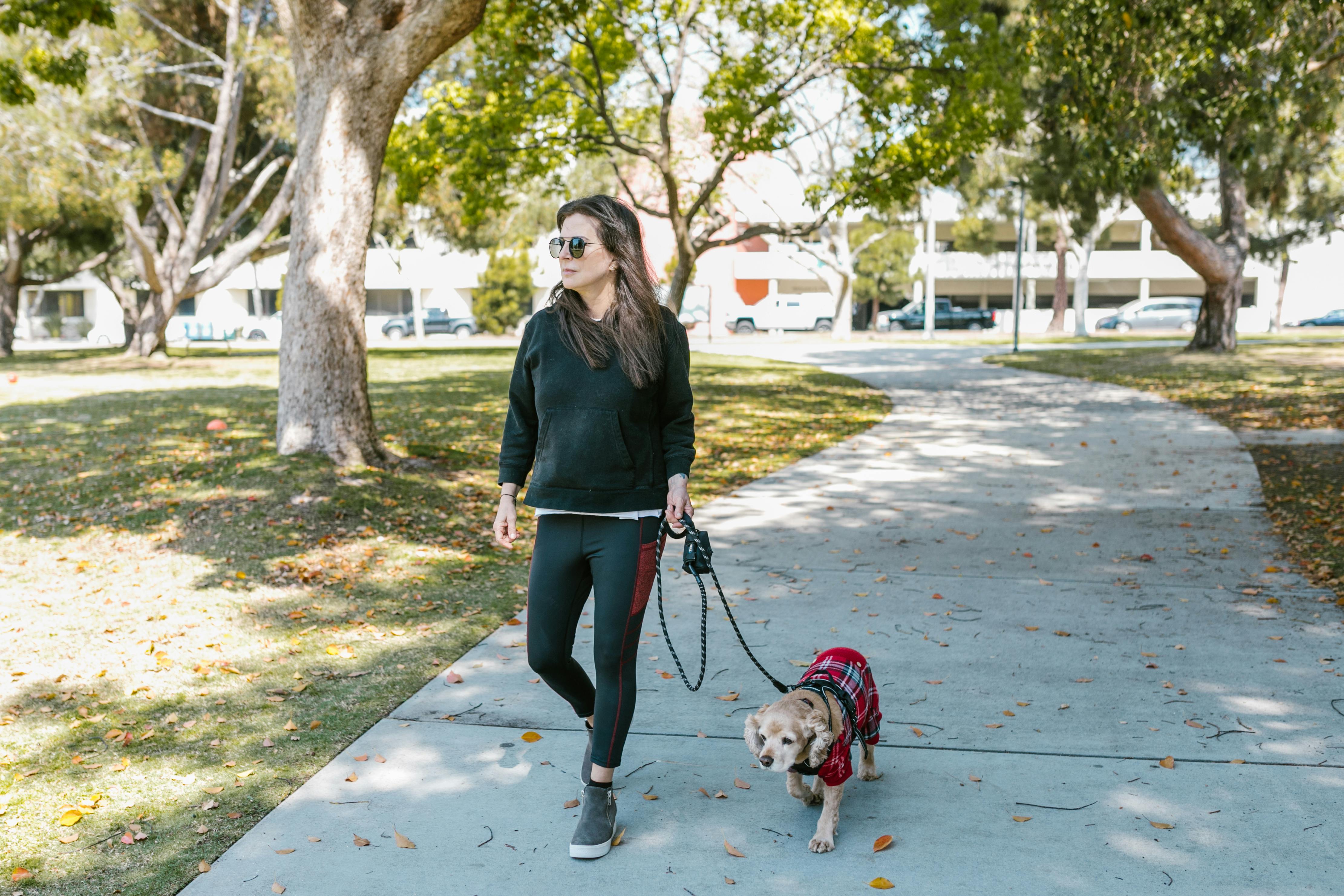 pet lifestyle more lifestyle pets — Photo by RDNE Stock project on Pexels