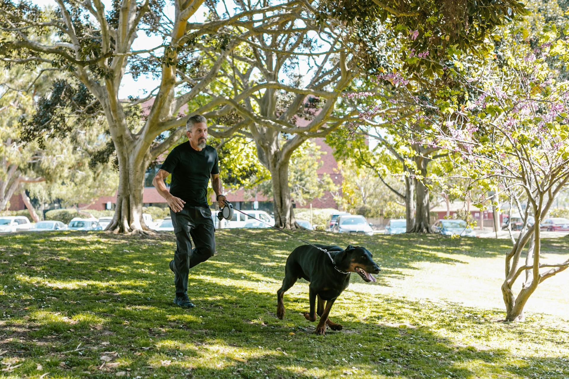 Man and a Black Dog Running in the Park